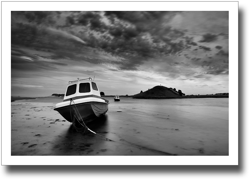 Shadowing ♦ ALNMOUTH