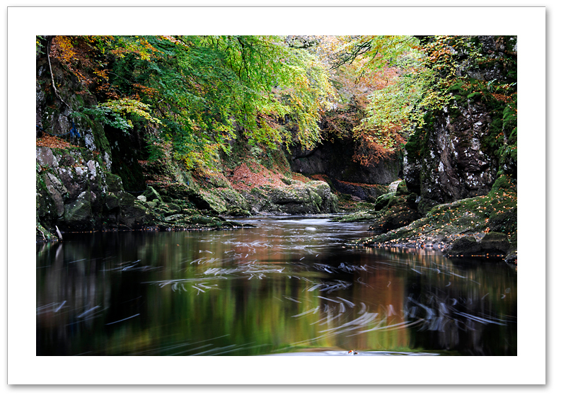 And Quiet Flows the Esk ♦ NORTH ESK GORGE