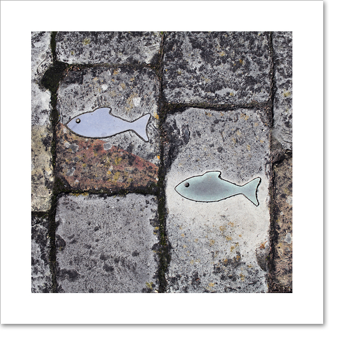 Little fish I