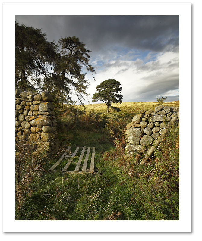 Between These Walls ♦ BREAMISH VALLEY