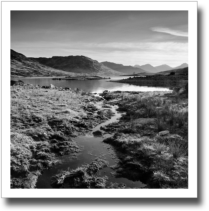 Squidgy ♦ LOCH ARKLET