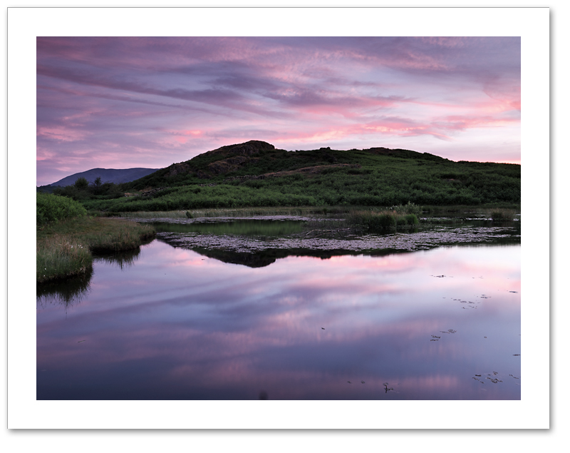 Candy Floss ♦ TODD TARN