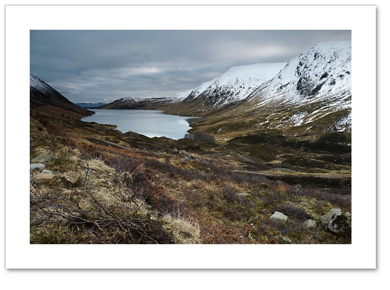 Grouse country, Loch Turret, Perthshire