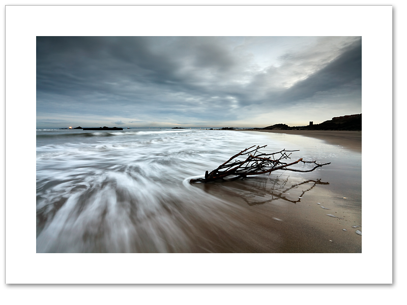 Seafield seaweed, Kirkcaldy, Fife