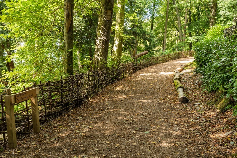 Elleray Wood Wildlife Sculpture Trail - Lake District Blogposts Preview