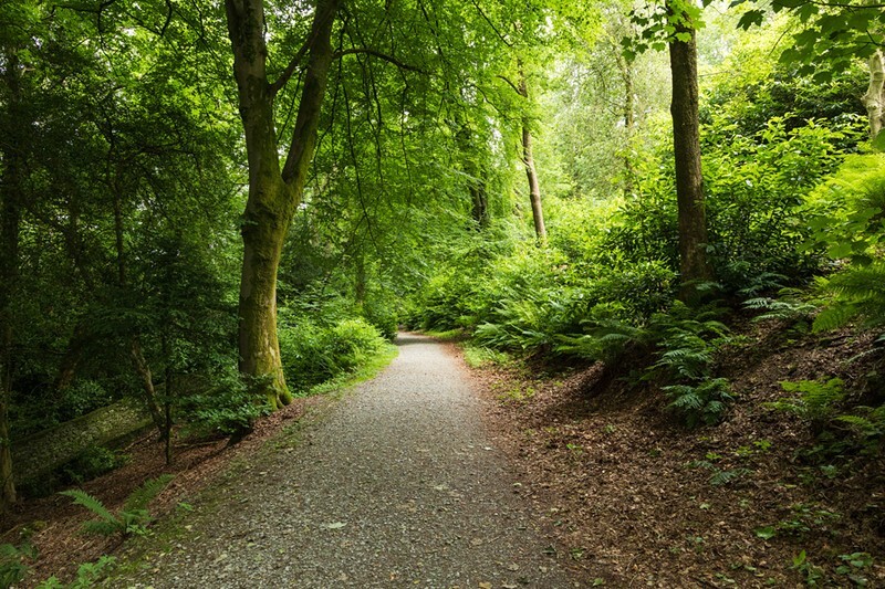 Blue route to Orrest Head - Lake District Blogposts Preview