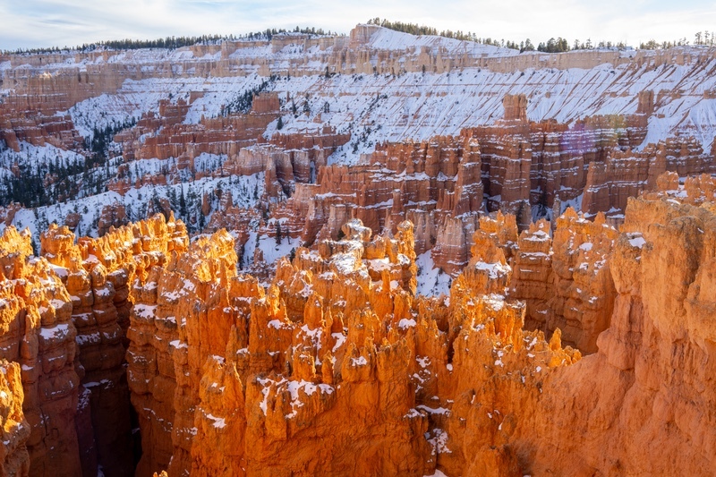 _DSC0338 - Canyon