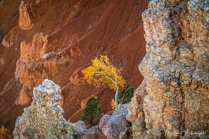 USA_18_8 - Canyon