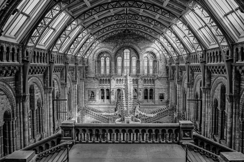 Natural History Museum London - City
