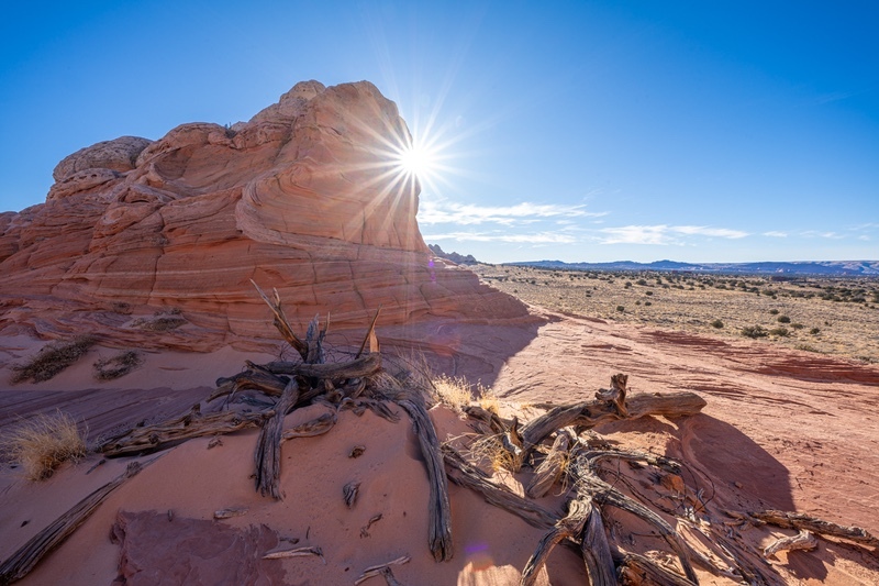 _DSC9911 - Rock