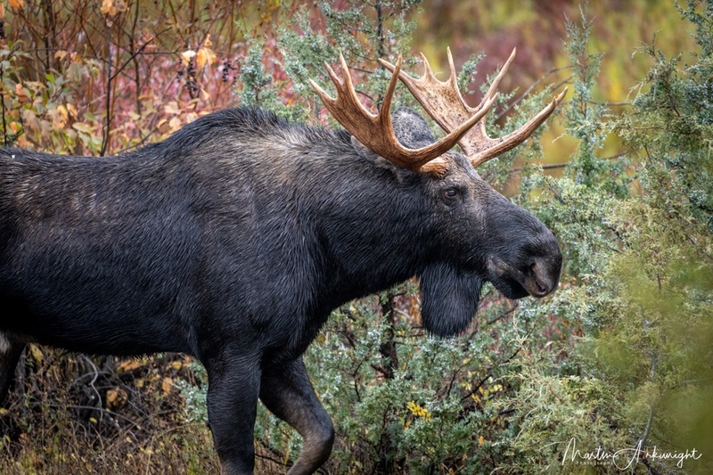 USA_2025_110 - Nature