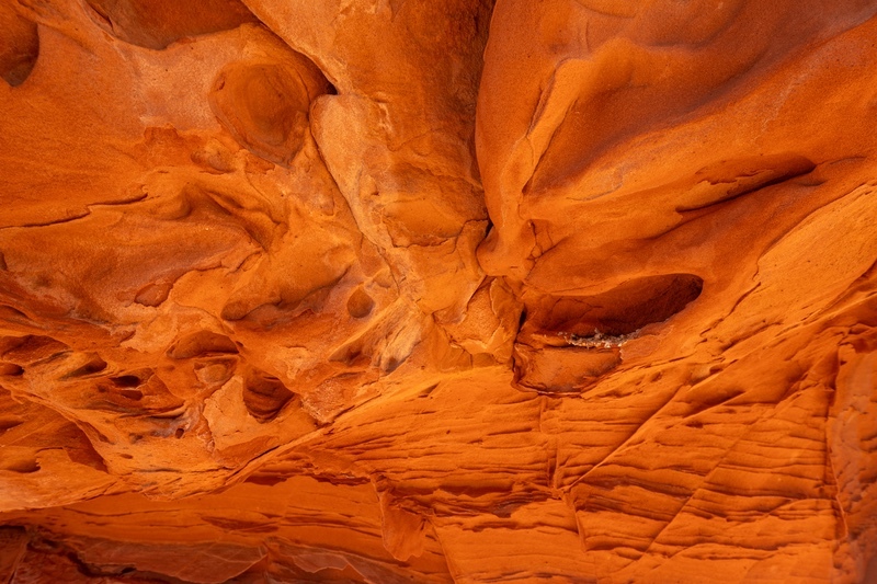 _DSC9888 - Rock
