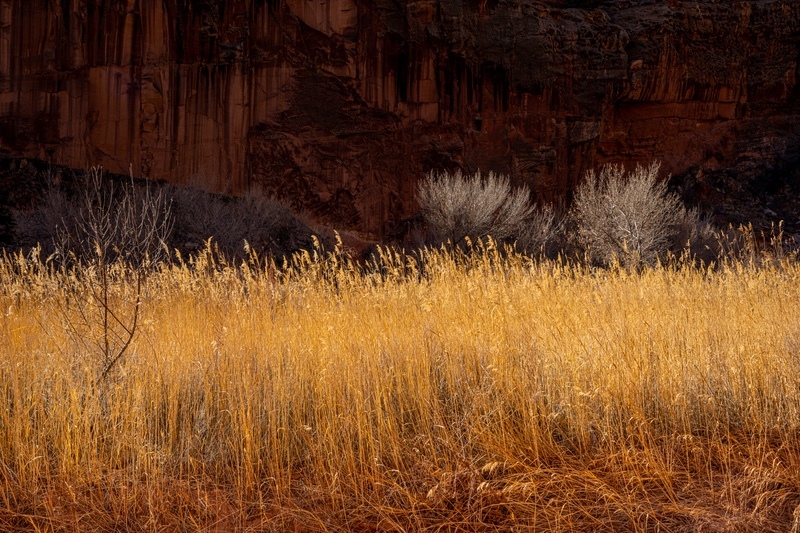 _DSC0859 - Canyon