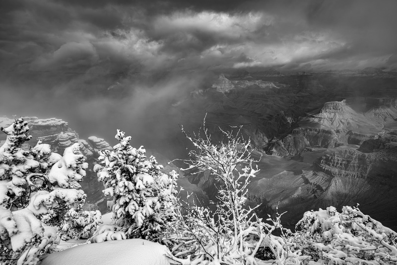 _DSC8338-Enhanced-NR-2-Edit - Canyon
