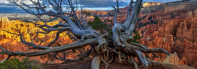 USA_18_17 - Canyon