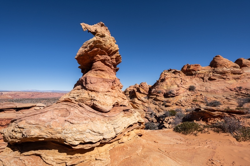 _DSC9601 - Rock