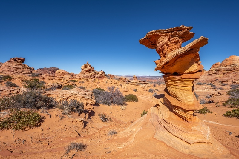 _DSC9544 - Rock
