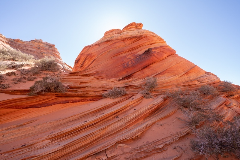 _DSC9746 - Rock