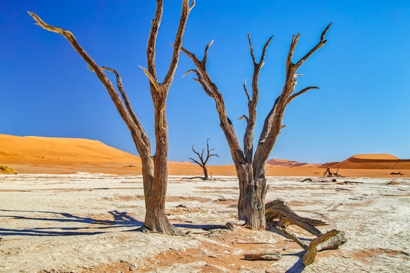 NAM_01_179 - Desert