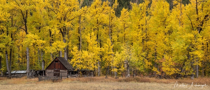 USA_2025_108 - Nature