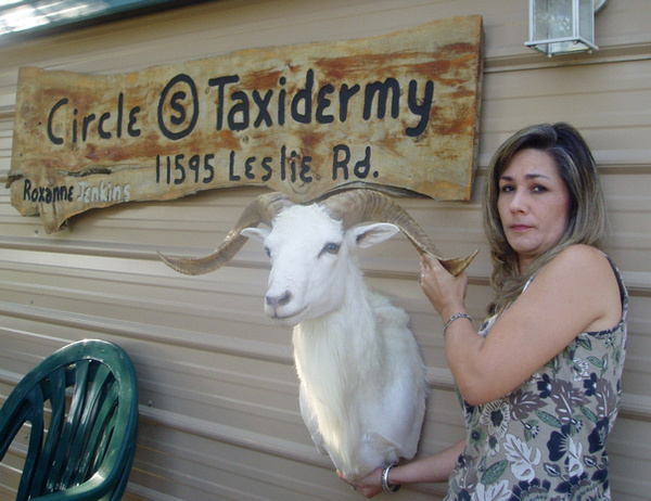 BURKETT - Sheep/Antelope