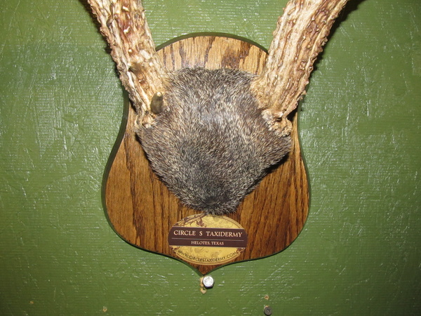 ANTLER MOUNT - Misc.