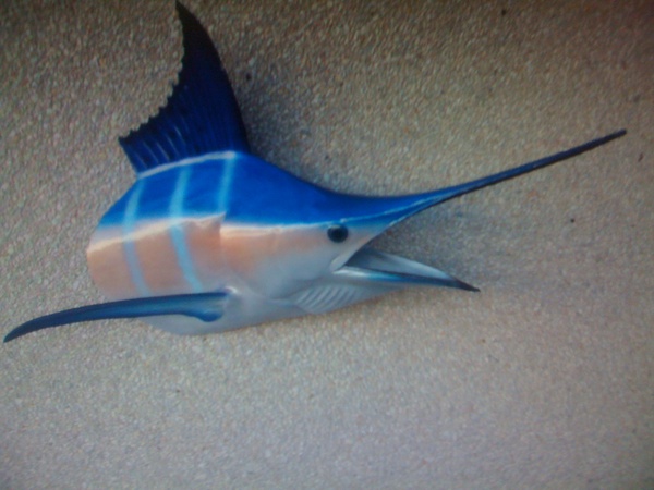  - Fish