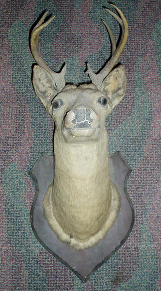 SCHNEIDER 1919 BEFORE - Misc.