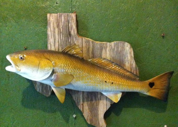  - Fish
