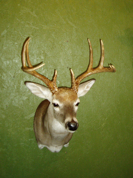 SemiSneak- MAURICE - Shoulder Mounts