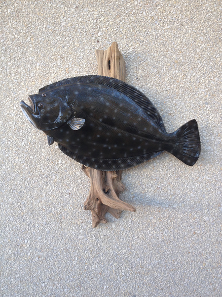 AVERY - Fish