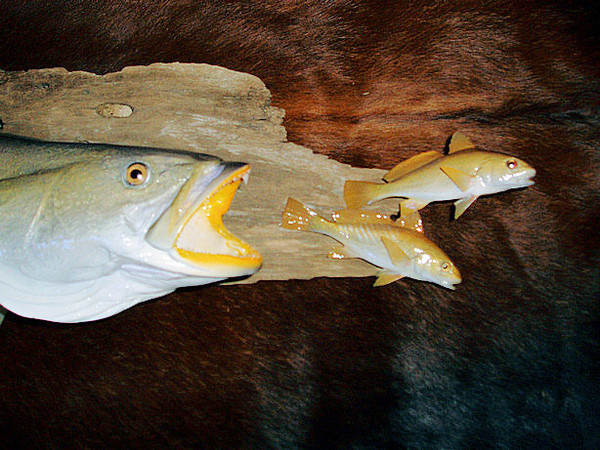  - Fish
