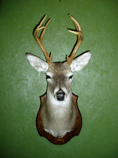 SCHNEIDER #3 AFTER - Misc.