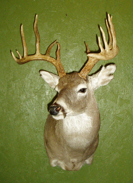 BREDA - Shoulder Mounts
