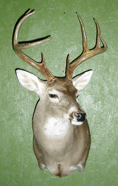 WEAVER - Shoulder Mounts