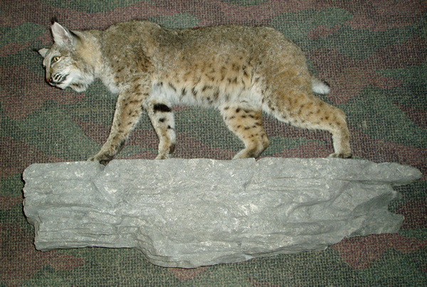 CUNNINGHAM - Small Animals