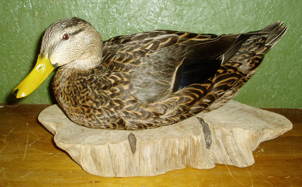 D. WEAVER - Birds
