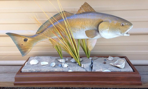 KAMMIE - Fish