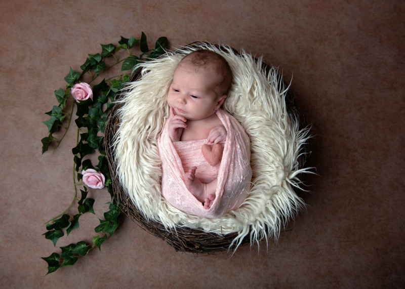 11 - Newborns, siblings & parents