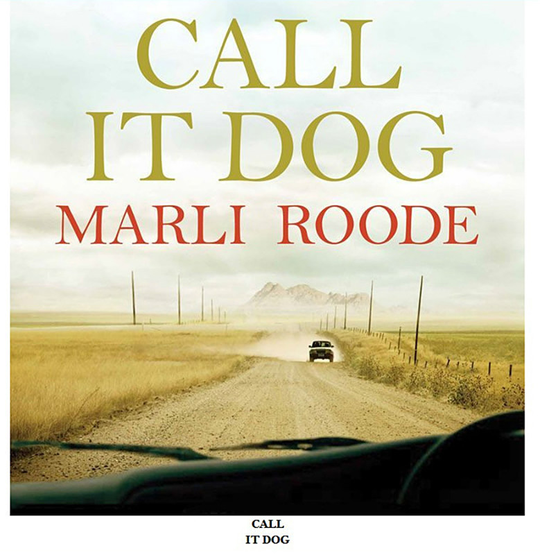  - Book Covers