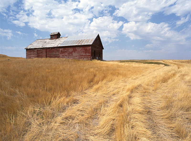 - Abandoned America