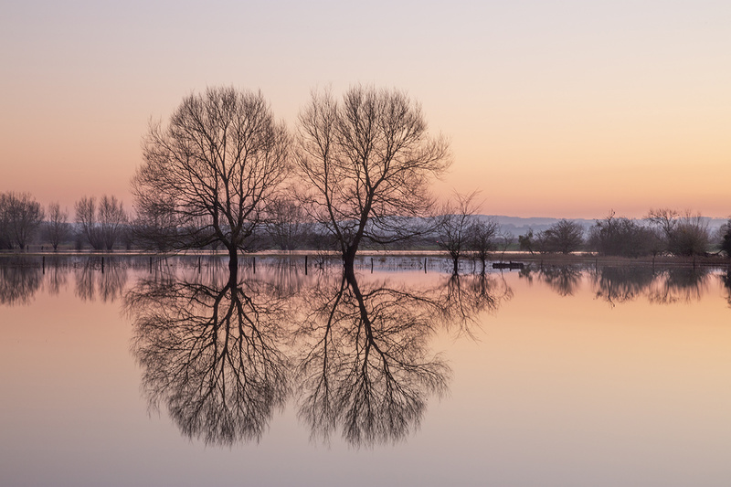 1 January - Lockdown Landscapes 2020