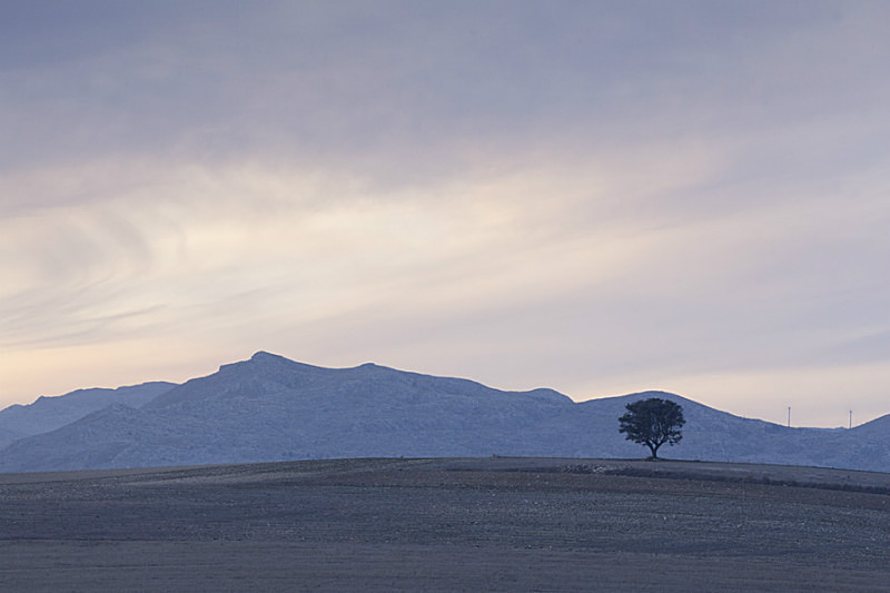  - Landscapes of Andalucia
