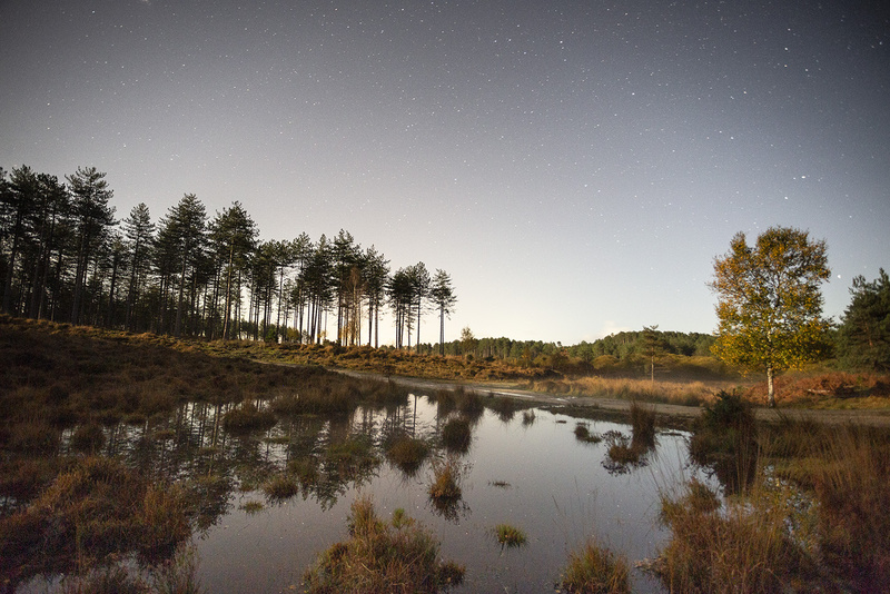 11 November - Lockdown Landscapes 2020