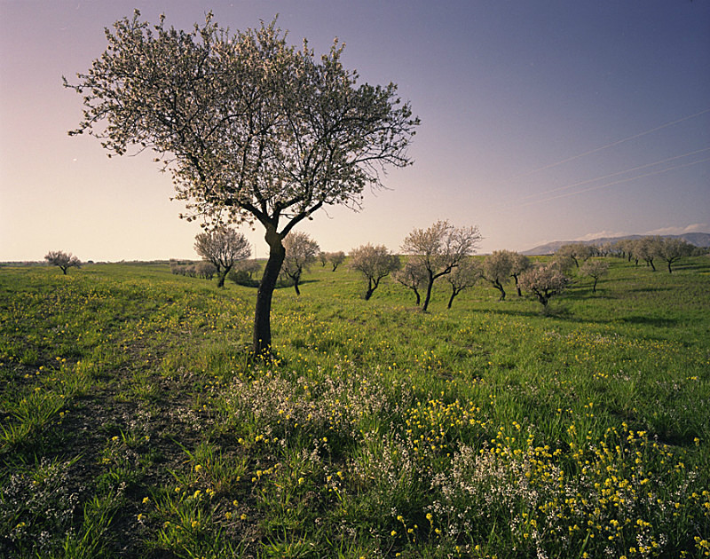  - Landscapes of Andalucia