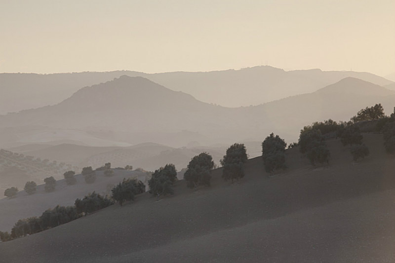  - Landscapes of Andalucia