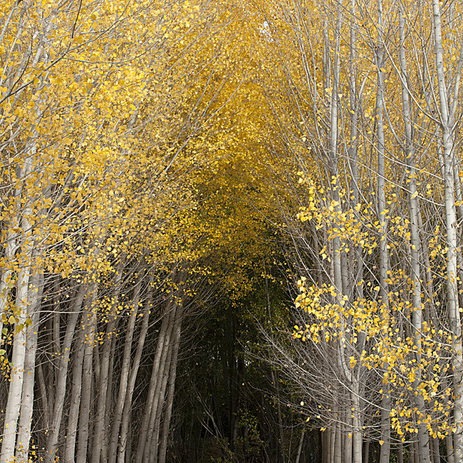  - Landscapes of Andalucia