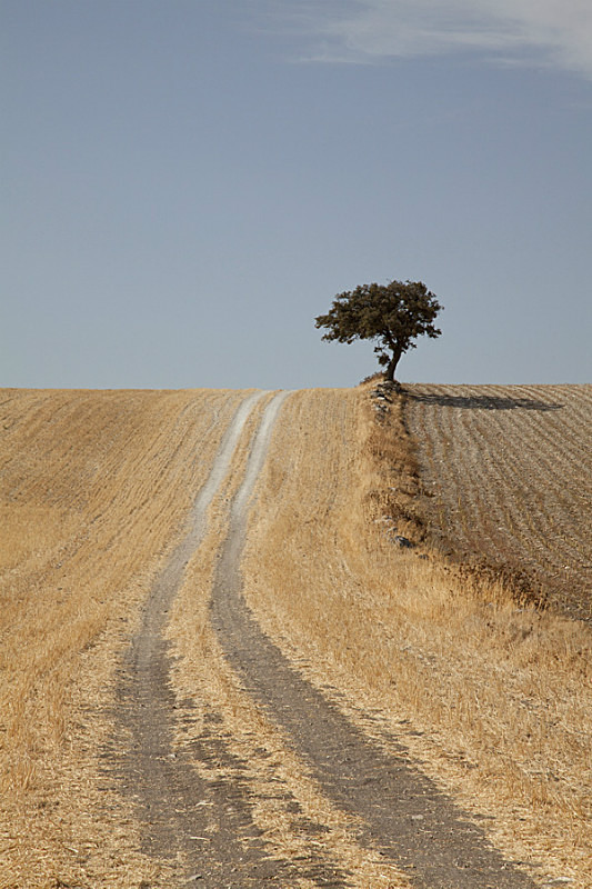  - Landscapes of Andalucia