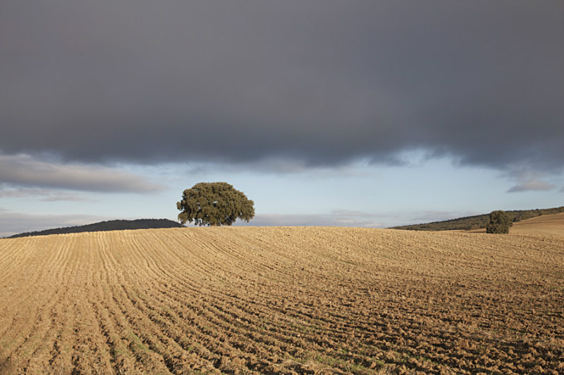  - Landscapes of Andalucia
