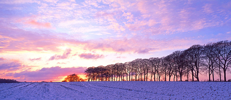 Evening Light, Freezing Hill, Cotswold Escarpment, Bath EDC160 - England